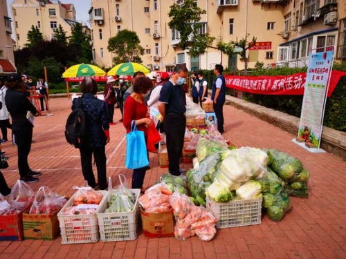 青島市南湛山社區(qū) 半小時售罄3000斤！新鮮蔬果進社區(qū)，助農(nóng)惠企利民見實效