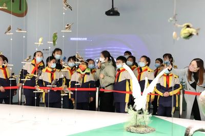 文博創新，IP出圈 看江蘇鹽城如何讓城市文化“活”起來